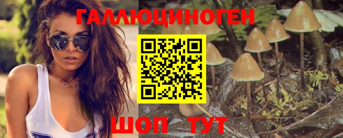 наркота  Галлюциногенные грибы Psilocybine cubensis  Вход с VPN  Котлас 