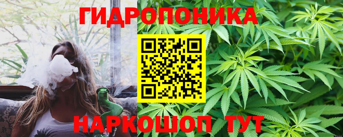 Шишки марихуана Bruce Banner Котлас
